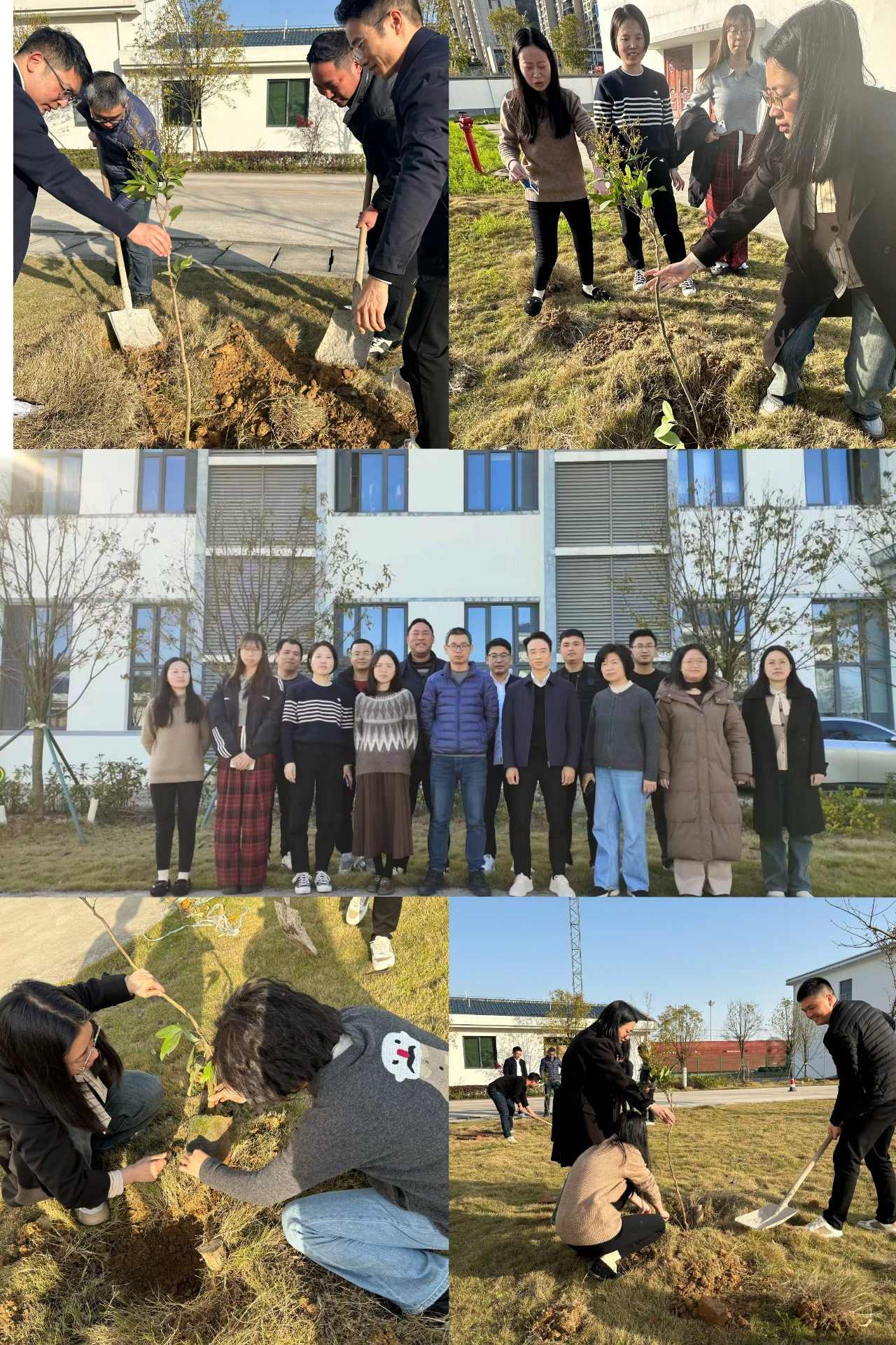 2024-3-12綠色陸港，美麗寧德，阮克妙拍攝.jpg